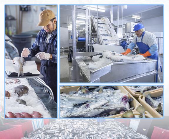 不同行业对冰块大小有不同要求