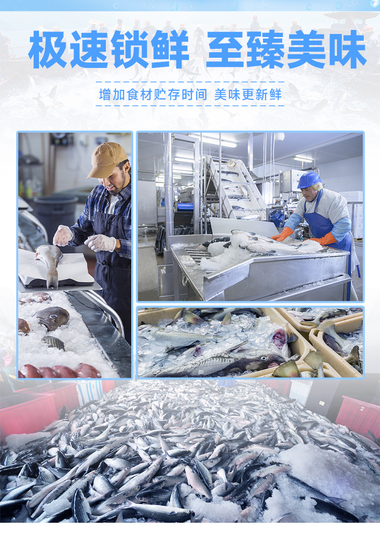 青岛日产10吨直冷块冰机04