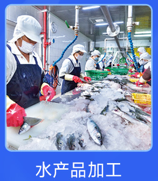 水产品加工